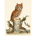 thumbnail image 2 of Wilson, Alexander 25x32 Gold Ornate Wood Framed with Double Matting Museum Art Print Titled - Wilson Owls II, 2 of 4