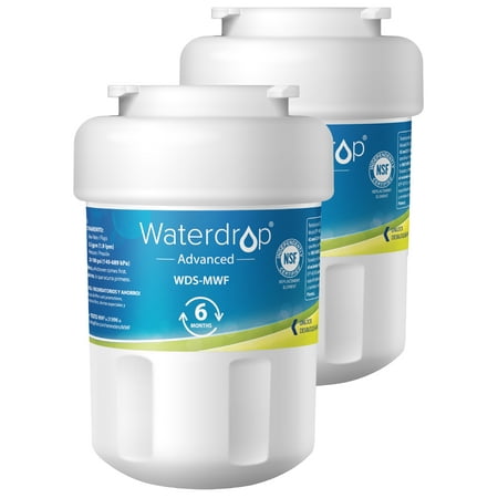 

Waterdrop MWF Refrigerator Water Filter NSF 53&42 Certified to Reudce 99% Lead Replacement for GE® SmartWater MWF MWFINT MWFP MWFA GWF HDX FMG-1 GSE25GSHECSS RWF1060 Kenmore 9991 (Pack of 2)