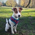 thumbnail image 3 of Pet Heavy Duty Reflective Dog Leash Lead Runner For Dogs Blue 5mm Wide, 3 of 5