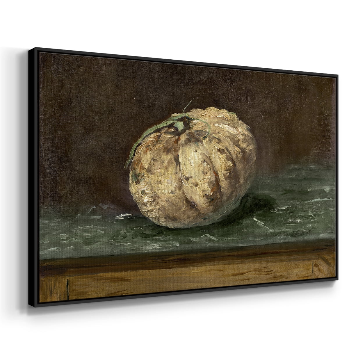 Vintage Botanical Print-LXXII By Wexford Home Framed in Black Wood Gallery Wrapped Canvas 17 in. x 25 in.
