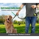 thumbnail image 3 of Hands Free Dog Leash, 5-7ft Heavy Duty Strong Bungee Dog Leash, Dog Leash, 3 of 5