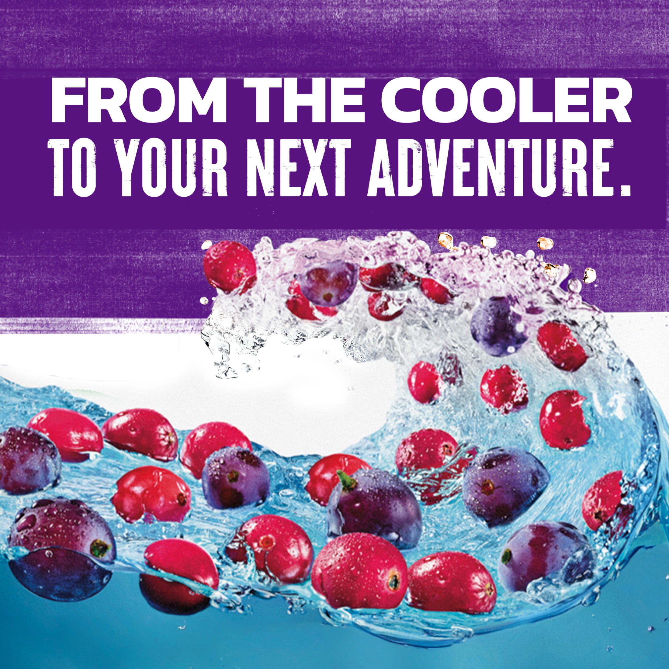 Ocean Spray® Cran x Grape 16oz Can