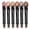 Brown CANYON, variant on Neutral Eyeshadow Stick Makeup 6PCS Set, Brown Nude Metallic Shimmer Matte Cream Eye Shadow Eyeliner Brightener Pencil Crayon - BROWN CANYON