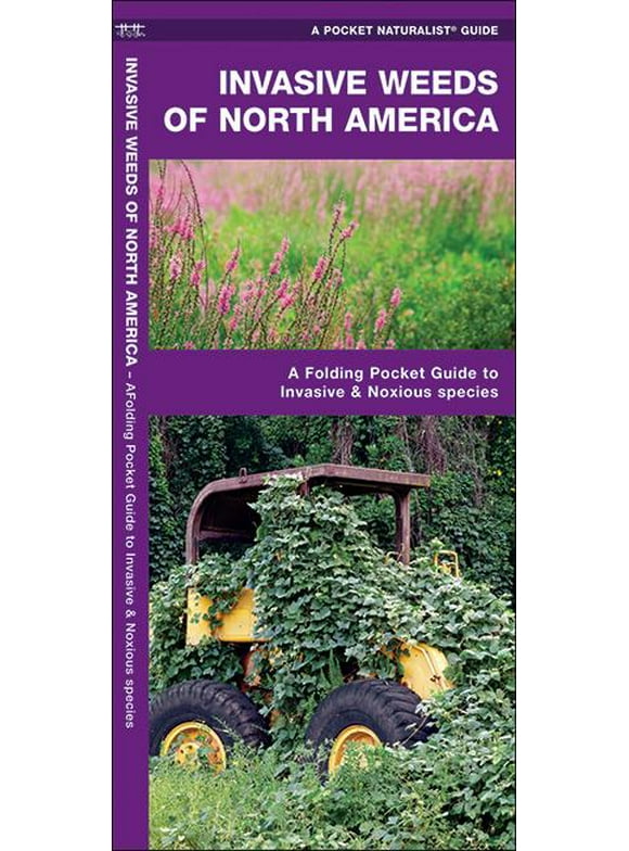 Wildlife and Nature Identification: Invasive Weeds of North America : A Folding Pocket Guide to Invasive & Noxious Species (Other)
