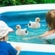 thumbnail image 1 of Juguete de baño CUTICAT cisne 10 cm x 6 cm x 8 cm, 1 of 8