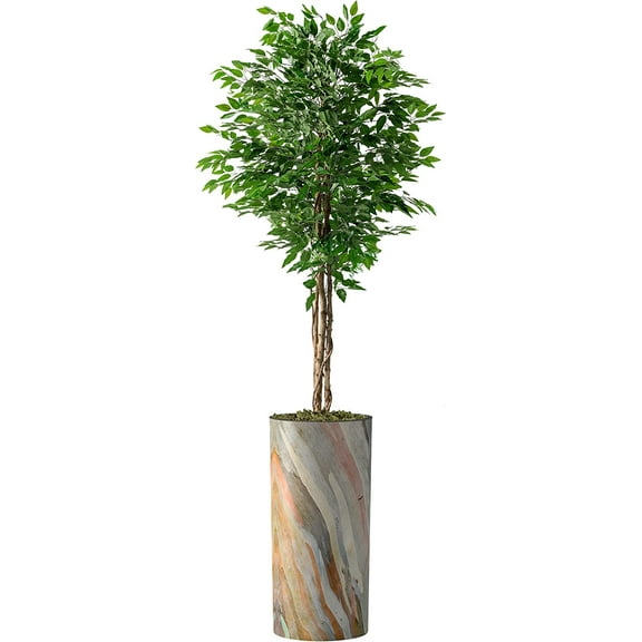 Artificial Tree in Modern Contemporary Planter, Fake Ficus Silk Tree for Indoor and Outdoor Home Decoration - 75" Overall Tall (Plant Pot Plus Tree)
