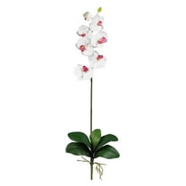 Nearly Natural Phalaenopsis Stem Artificial Flowers (Set of 6), White