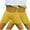 Yellow, variant on Kaemgyyd 2 Pack Baby and Toddler Girls Bike Shorts Soft Summer Dancewear Shorts Solid Safety Shorts for Kids Teens 3-14 Years