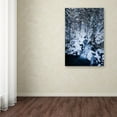 thumbnail image 3 of Trademark Fine Art 'Depth of Nature' Canvas Art by Philippe Sainte-Laudy, 3 of 3