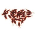 thumbnail image 1 of 50pcs Fake Roaches Prank Trick Toys Cockroach Bugs Look Real, 1 of 5
