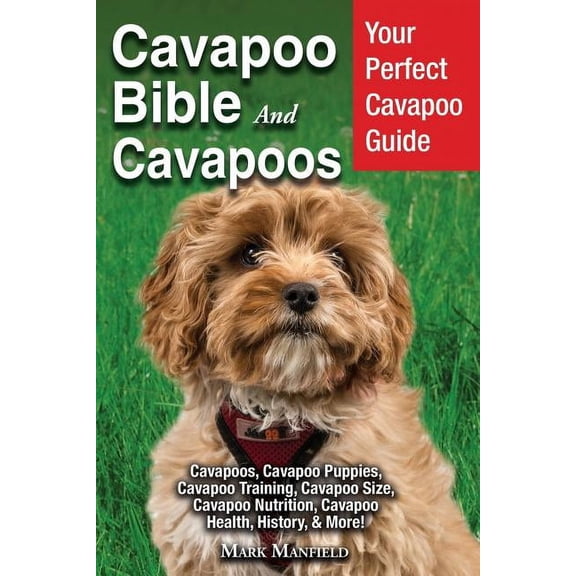 Cavapoo Bible And Cavapoos: Your Perfect Cavapoo Guide Cavapoos, Cavapoo Puppies, Cavapoo Training, Cavapoo Size, Cavapo, (Paperback)
