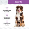 thumbnail image 3 of Suplemento Chew + Heal Milk Thistle, 60 ml, para ayudar al hígado de los perros, 3 of 7