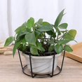 thumbnail image 4 of 4pcs Hanging Railing Planters Pot Holders Plant Iron Racks Small, 4 of 5