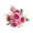 #903-rose purple, variant on Cevemin 9 Colors Artificial Peony Rose Mixed Bouquet White Pink Orange Hot Pink Red Purple Rose Purple Dual Pink Lavender, Pre-Arranged Faux Floral Bundle for Wedding Home Table Decor