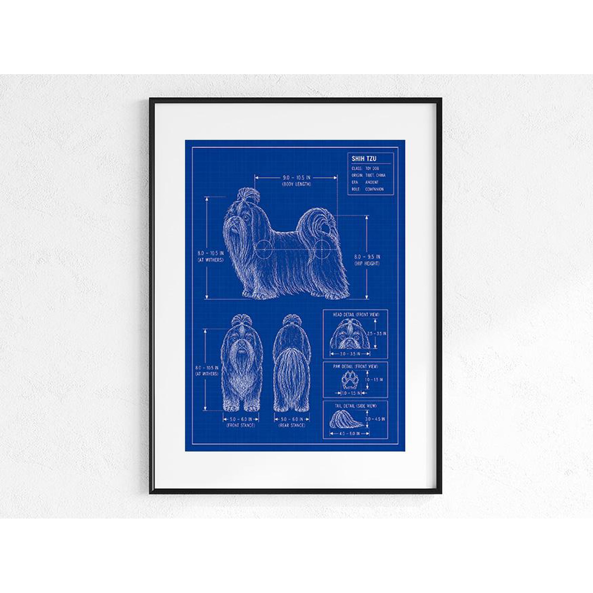 Shih Tzu Blueprint Dog Breed Print Shih Tzu Gift Dog Dad Dog Mom Wall Art Dog Lover Decor