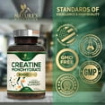thumbnail image 5 of Creatine Monohydrate 3000mg Per Serving – Micronized Creatine Powder Capsules - Supports Lean Muscle, Strength, Energy, & Endurance - Nature's Supplement, Non-GMO, Bottled in USA - 120 Capsules, 5 of 10