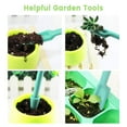 thumbnail image 2 of Seedling Tray  12 Hole Plant Seed Grows Box  Seedling Starter Garden Yard, 2 of 5