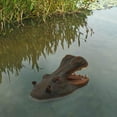 thumbnail image 4 of Simulated Shark & Hippo Head Yard Pond Decoration Animal Floating Decoration, 4 of 8