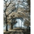 thumbnail image 2 of Van de Goor, Lars 26x32 Black Ornate Wood Framed with Double Matting Museum Art Print Titled - Road to Tomorrow, 2 of 4
