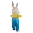 thumbnail image 4 of Disfraz Inflable de Conejo de Pascua, Traje de Fiesta, Disfraz, Mono, Cosplay para Adultos, 4 of 7