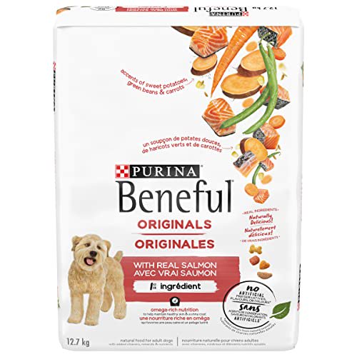 Beneful hot sale salmon walmart