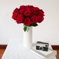 thumbnail image 2 of Natural Fresh Flowers Explorer Roses, 2 of 9
