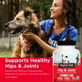 thumbnail image 3 of Nutri-Vet Hip & Joint Chewable Dog Supplements- Formulated with Glucosamine & Chondroitin for Dogs- 120 Count, 3 of 10