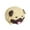 hamster, variant on Neinkie Squeeze Fidget Toy Cute Kitten Puppy Hamster Pinch Toy Anxiety Relief Soft TPR Decompression Toy Slow Rebound Vent Ball Toy Children Toy Gift