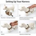 thumbnail image 3 of Dog Harness, Dog Harness Small Breed, Pet Harness with A Easy Control Leash, Easy Walk Pet Harness and No Choke Vest Harness for Medium or Small Breeds, 3 of 6