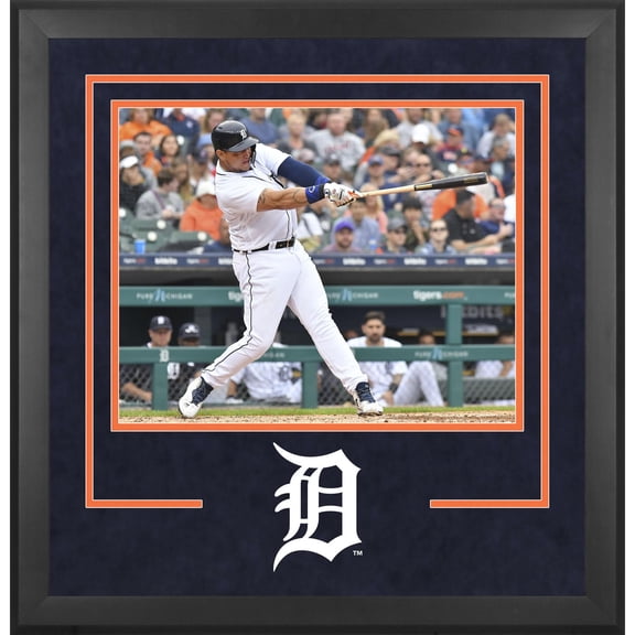 Detroit Tigers Deluxe 16" x 20" Horizontal Photograph Frame
