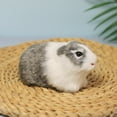 thumbnail image 3 of Hearth & Gear Figurine de Hamster Réaliste Modèle de Hamster Réaliste pour la Maison 1 Pce, 3 of 3