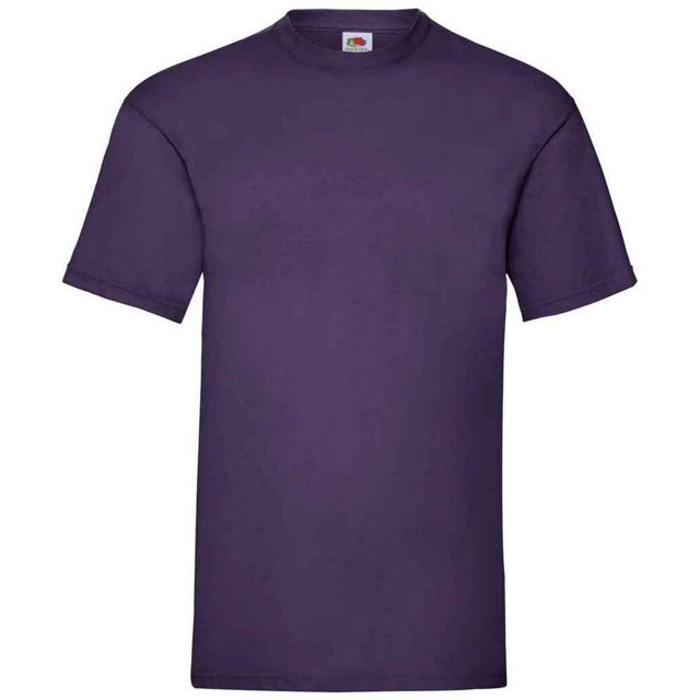 Fruit Of The Loom Mens Valueweight T-Shirt