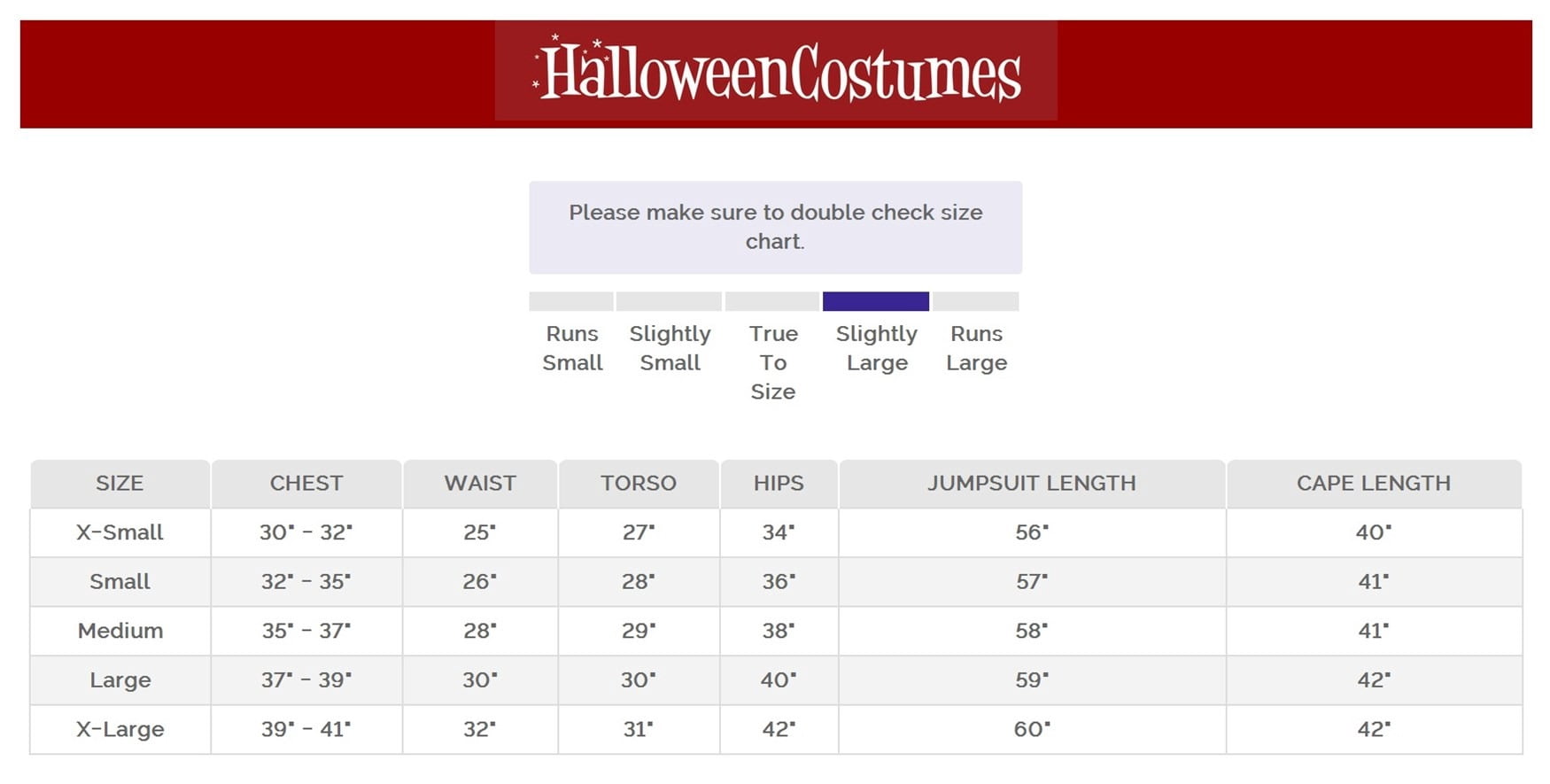 Halloween Thunder Superhero Adult Costume