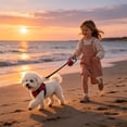thumbnail image 6 of Retractable Dog Leash – Extendable up to 16.4 FT, Heavy Duty Nylon Tape, No-Tangle, One-Handed Brake & Lock, for Small to X-Large Dogs up to 110 lbs (Red), 6 of 7