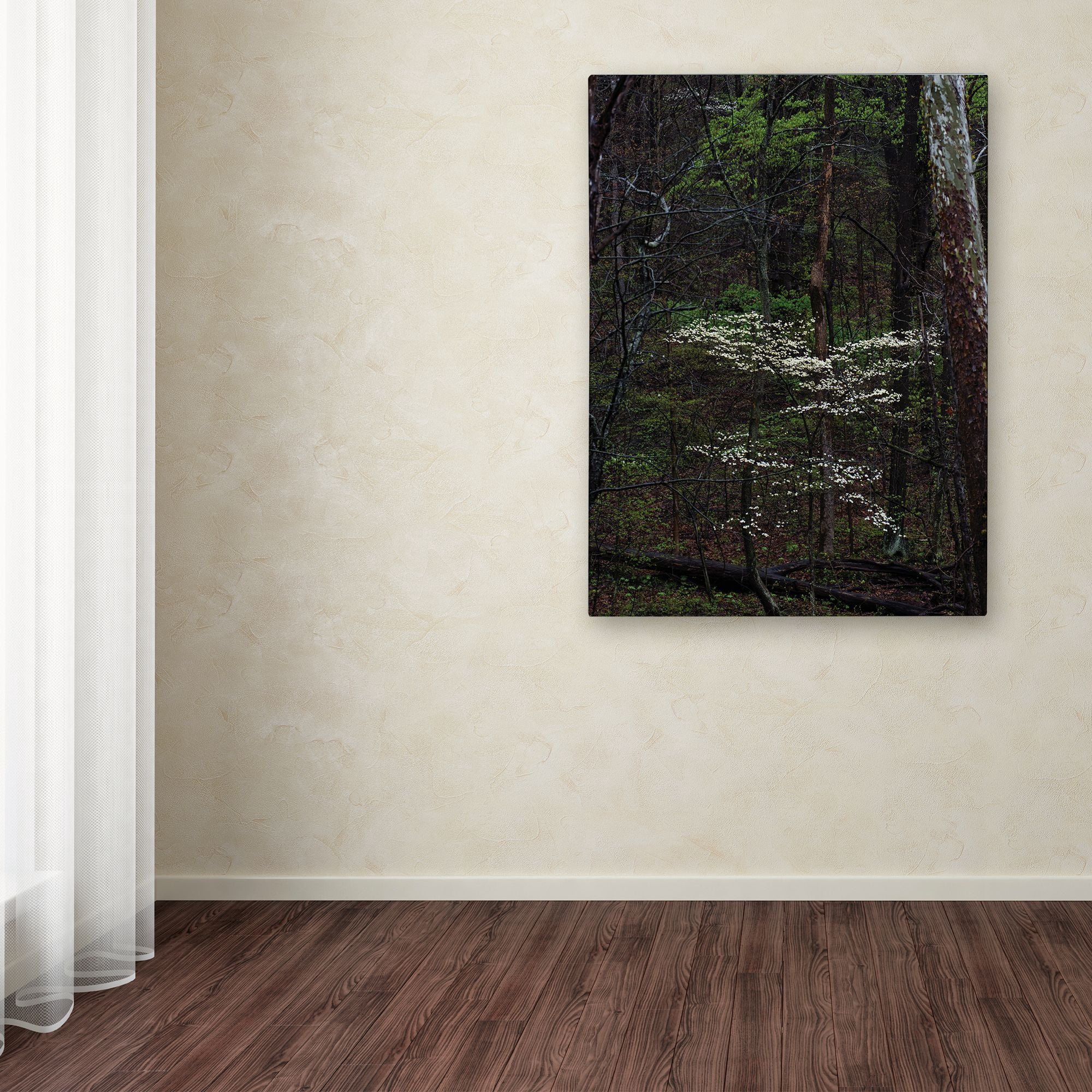 Trademark Fine Art 'Dogwood Trees in the Forest' Canvas Art by Kurt Shaffer