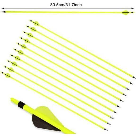 AME 30" Archery Carbon Arrows SP500 Arrowheads Recurve Compound Bow Hunting Shooting 12-Pack