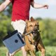 thumbnail image 4 of Bolsa de golosinas para perros para entrenamiento Bolsas de golosinas para cachorros Bolsa de recompensa Bolsa de cebo Soporte para transportar golosinas para perros, 4 of 5