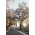 thumbnail image 3 of Poinski, Dianne 13x18 Black Modern Framed Museum Art Print Titled - The Road Less Traveled 2, 3 of 5