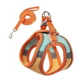 thumbnail image 2 of Pet Harness and Leash Set, Breathable Mesh Vest with Adjustable Straps, Color Block Dog Cat Walking Strap, Polyester, Orange/Pink/Red/Green/Blue, 1 Set, 2 of 6