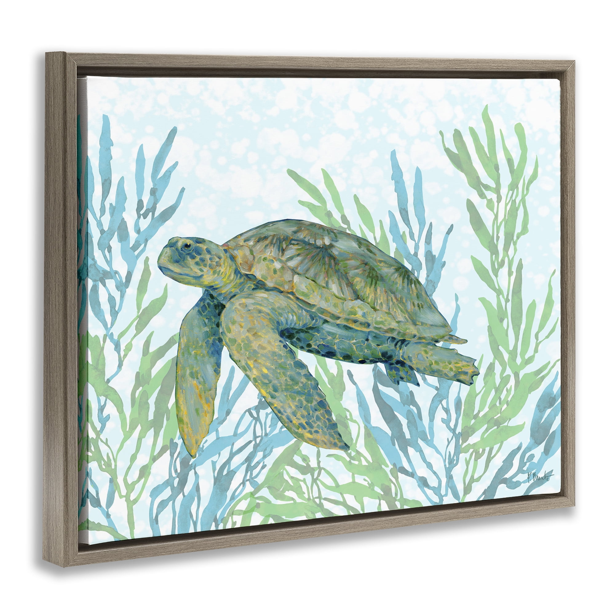 Stupell Industries Tasman Turtle in Seagrass Brown Framed Floater Canvas Wall Art, design by Paul Brent