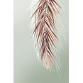 thumbnail image 2 of Jensen, Asia 11x14 White Modern Wood Framed Museum Art Print Titled - Grasses Palms II, 2 of 4