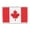 Canadian Flag 3.5 X 2.25, variant on 12 pieces 2" Custom Activity Scouts Applique Fun Patches - US Flag Subdued 3.5 X 2 3/8