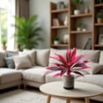 thumbnail image 6 of 1PCS Artificial Dracaena Fake Plants for Bedroom Decorations for Living Room Decor Ative Plants Fake Potted Plants Adornos para Sala Home Decor(Fuchsia), 6 of 10