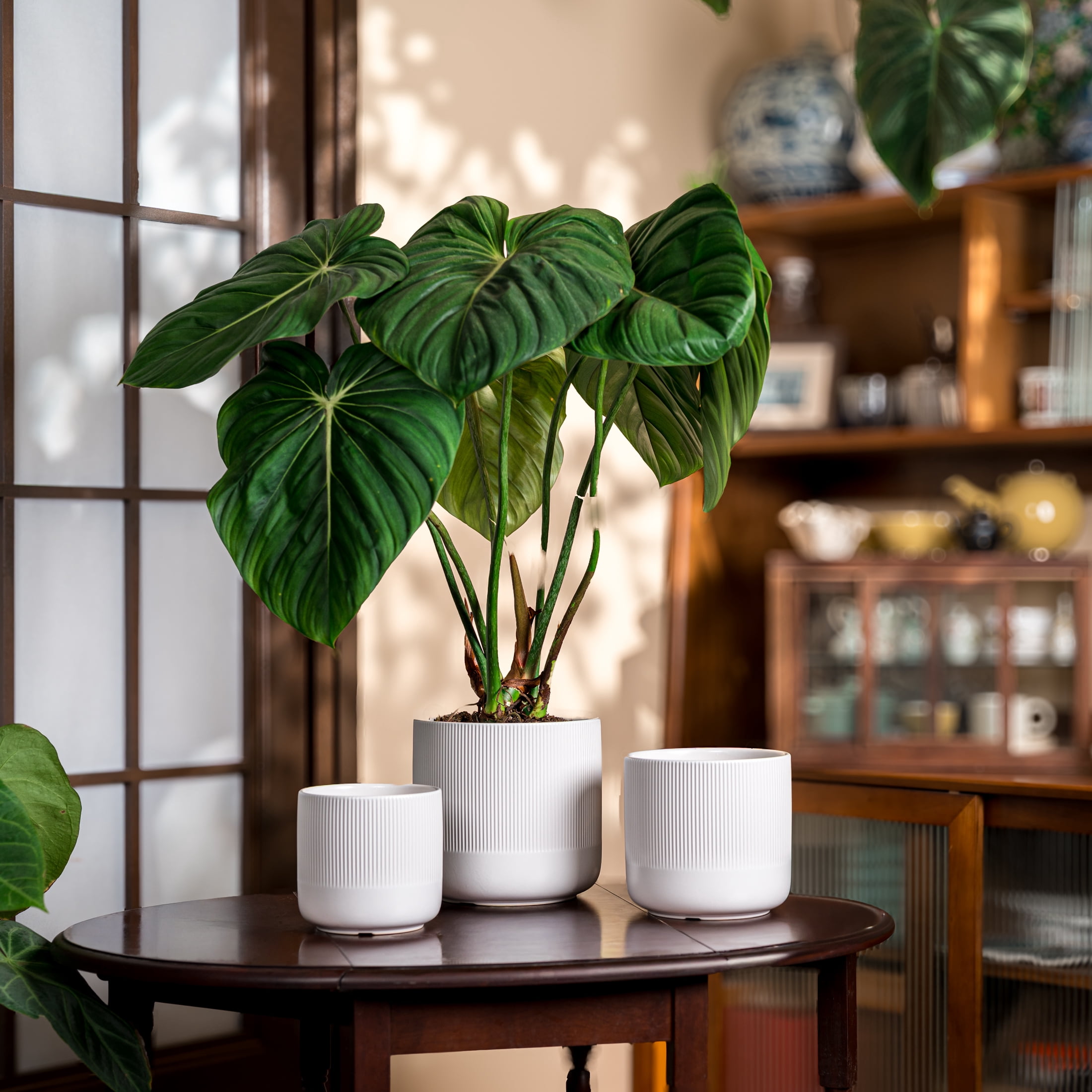 UMIAMOY Cylinder Ceramic Plant Pots,5.8+6.9+8.3 inch Plant Pots with Drainage Holes and Saucer,Set of 3 Ceramic Flower Pots for Indoor Outdoor Decoration,White