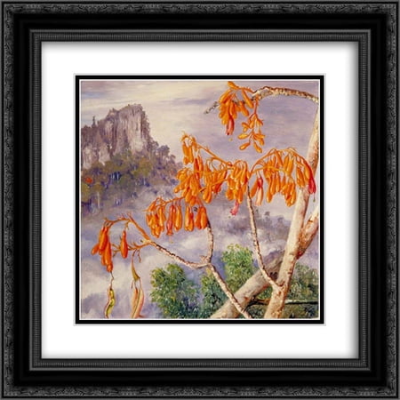 Marianne North 2x Matted 20x20 Black Ornate Framed Art Print 'Limestone Mountains of Sarawak, Borneo'