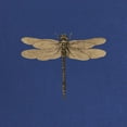 thumbnail image 2 of CafePress - Dragonfly Vintage Maternity T Shirt - Maternity Dark T-Shirt, 2 of 3