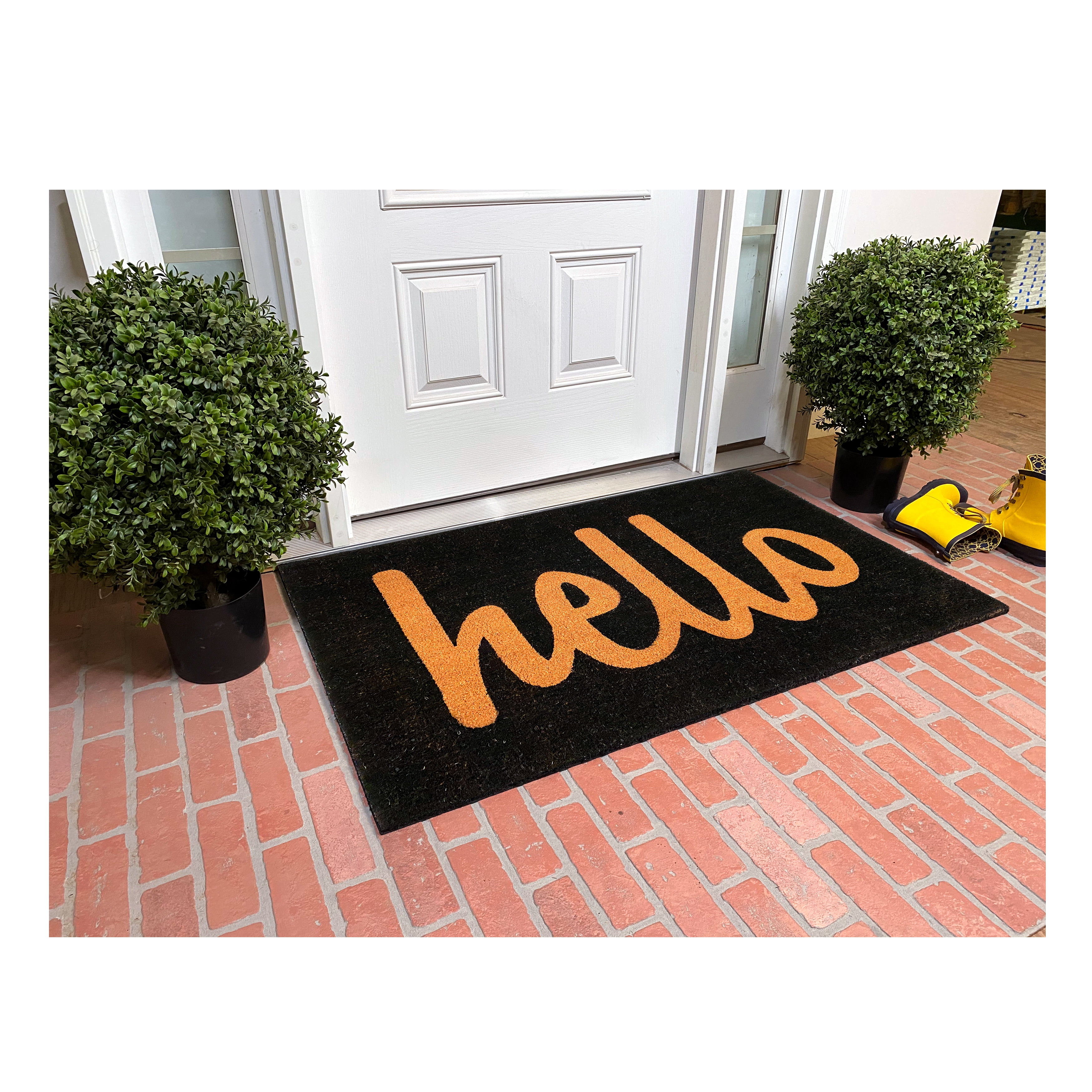 Script Hello Doormat, 24" x 48"