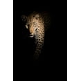 thumbnail image 2 of Guijt, Richard 23x32 Black Ornate Wood Framed with Double Matting Museum Art Print Titled - Out Of The Darkness, 2 of 4