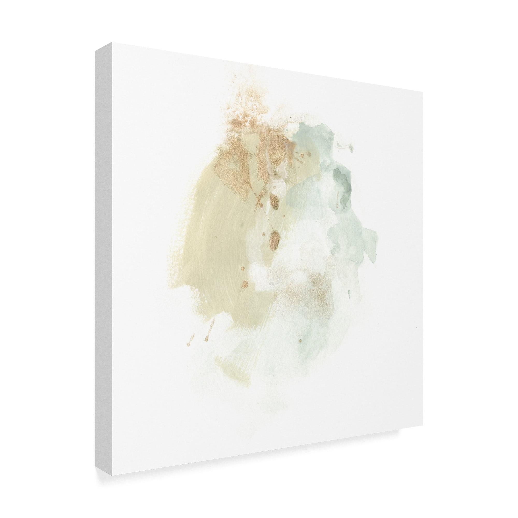 Trademark Fine Art 'Liquid Echo IV' Canvas Art by June Erica Vess