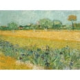 thumbnail image 2 of Van Gogh, Vincent 18x15 Gold Ornate Wood Framed with Double Matting Museum Art Print Titled - Field with Irises near Arles, 2 of 4